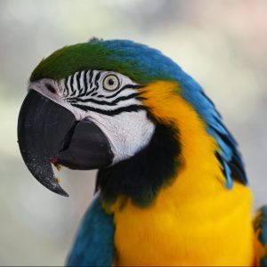 david-clode-0lwa8Dprrzs-unsplash