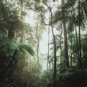 justin-clark-H7JiEU8Slnw-unsplash (1)
