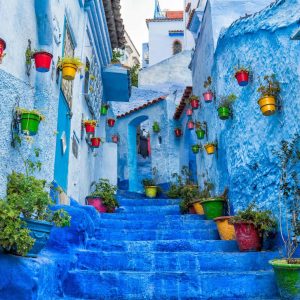 milad-alizadeh-JibMa0FbyHw-unsplash